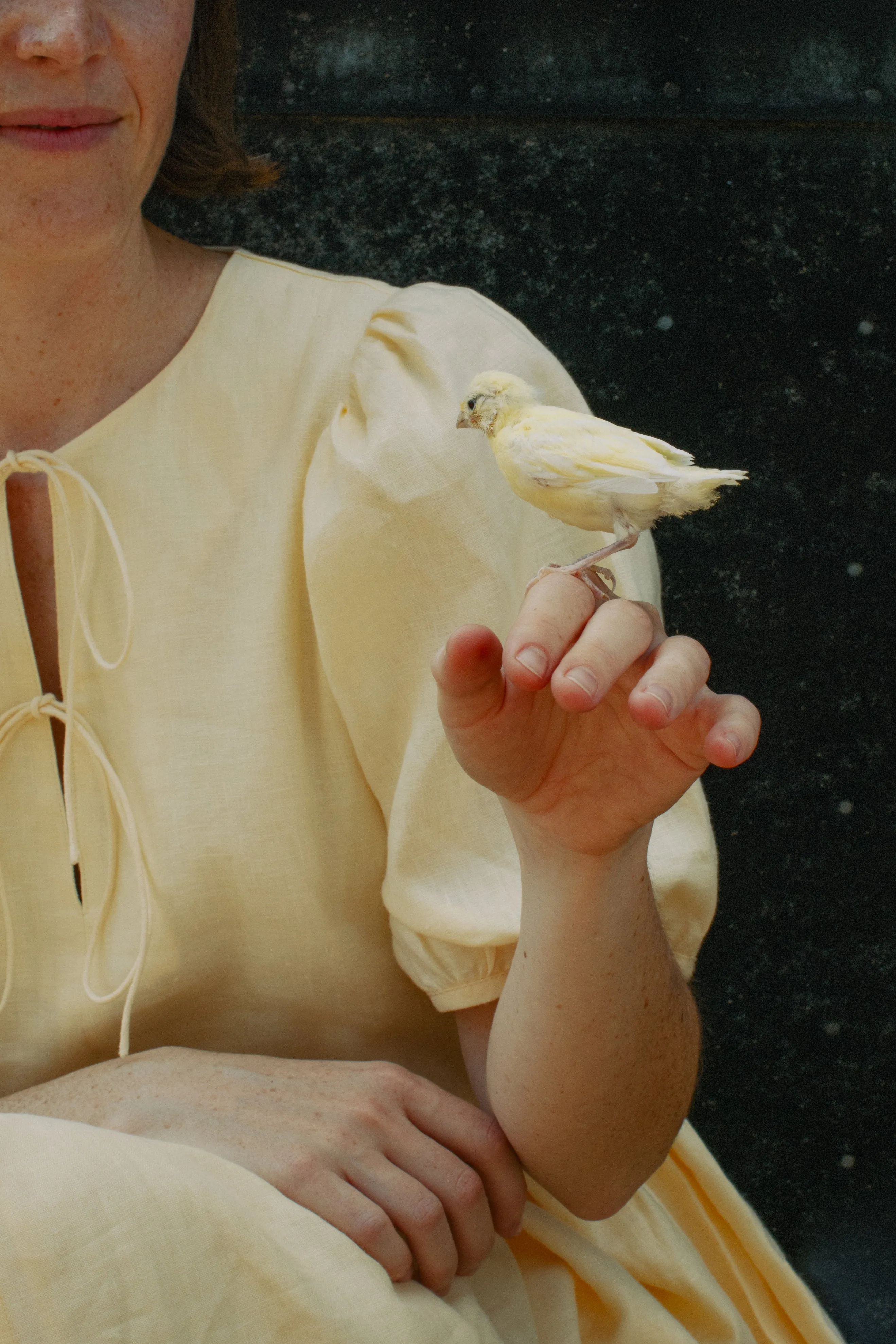 Double Tie Dress -- Linen