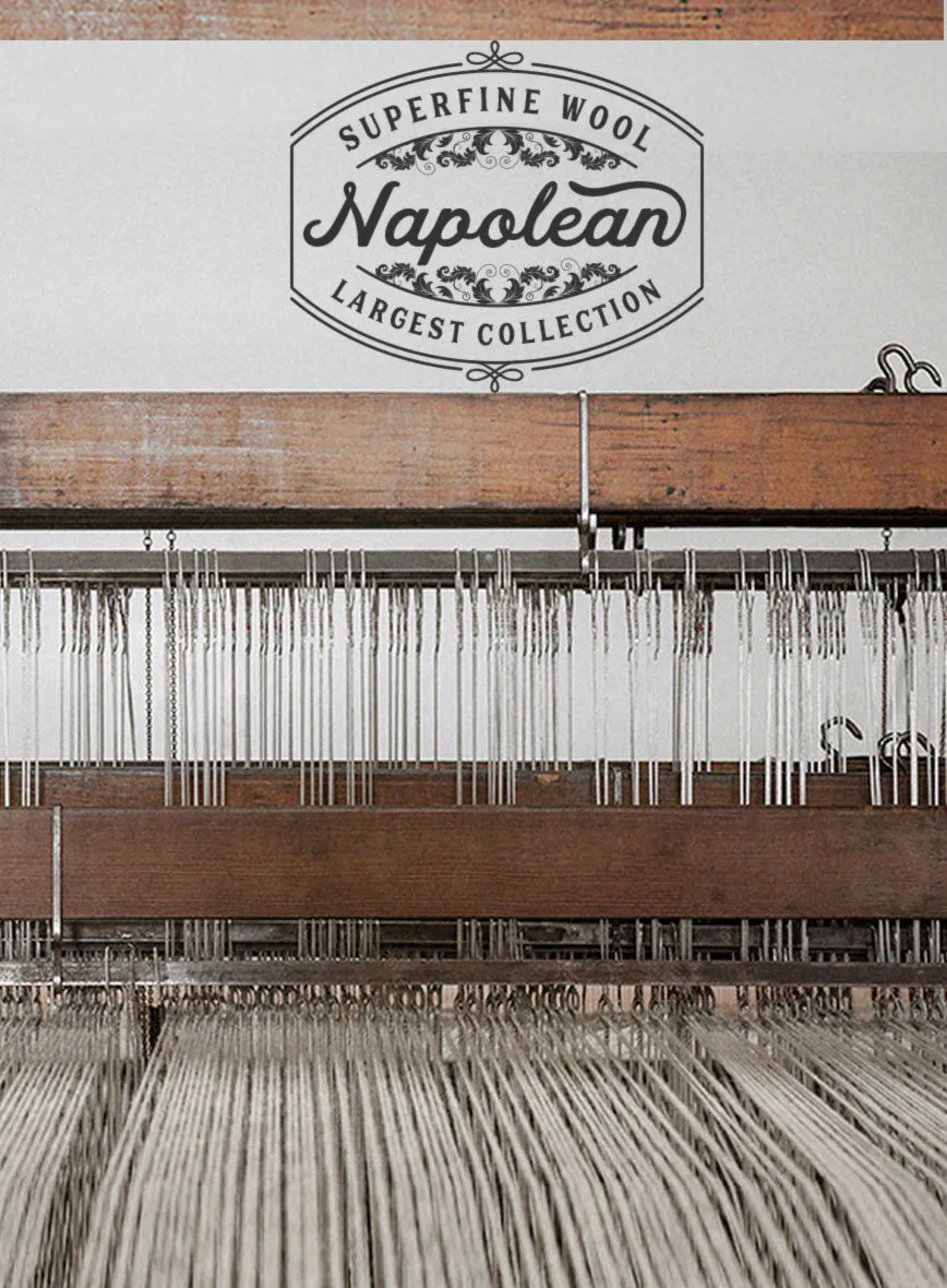Napolean Ariel Nailhead Gray Wool Pants