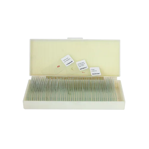 Saxon Plants Biological Micrcoscope Prepared Slides (50pcs) (310006)